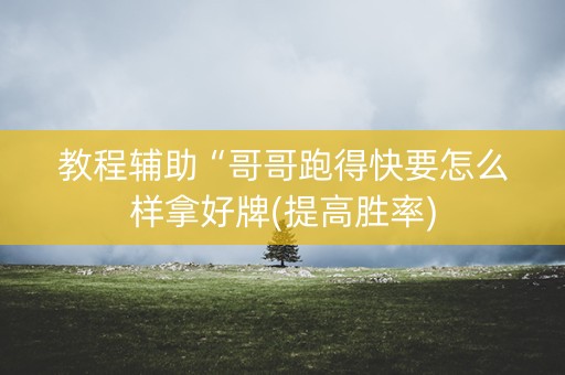 教程辅助“哥哥跑得快要怎么样拿好牌(提高胜率)
