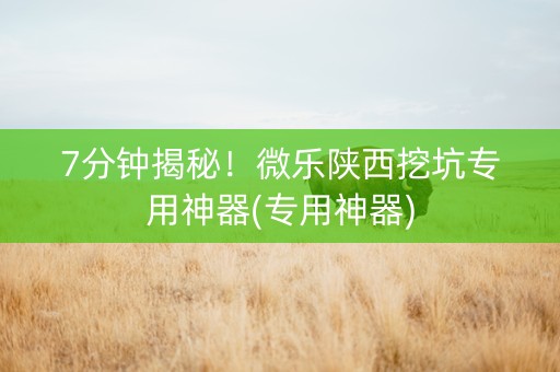 7分钟揭秘！微乐陕西挖坑专用神器(专用神器)