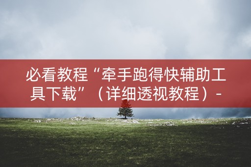 必看教程“牵手跑得快辅助工具下载”（详细透视教程）-哔哩哔哩