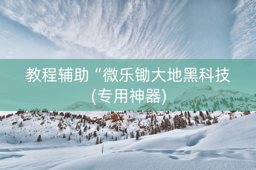教程辅助“微乐锄大地黑科技(专用神器)