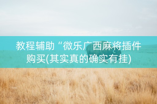 教程辅助“微乐广西麻将插件购买(其实真的确实有挂)