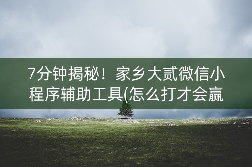 7分钟揭秘！家乡大贰微信小程序辅助工具(怎么打才会赢)