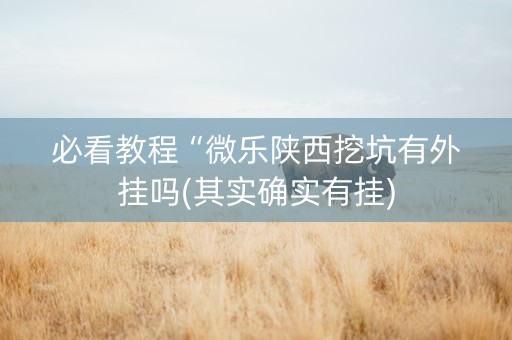 必看教程“微乐陕西挖坑有外挂吗(其实确实有挂)