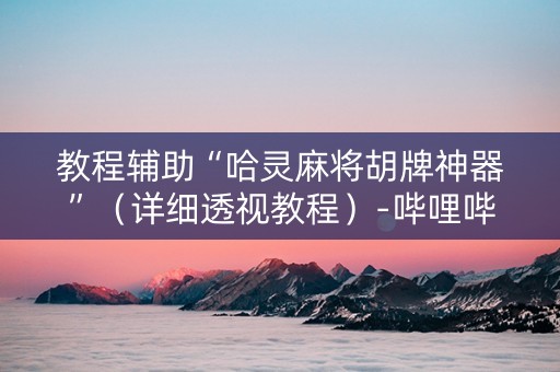教程辅助“哈灵麻将胡牌神器”（详细透视教程）-哔哩哔哩