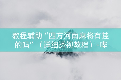 教程辅助“四方河南麻将有挂的吗”（详细透视教程）-哔哩哔哩