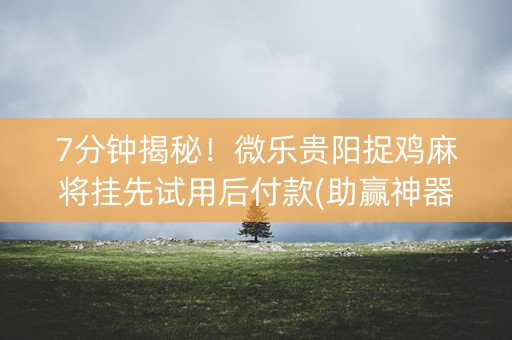 7分钟揭秘！微乐贵阳捉鸡麻将挂先试用后付款(助赢神器)