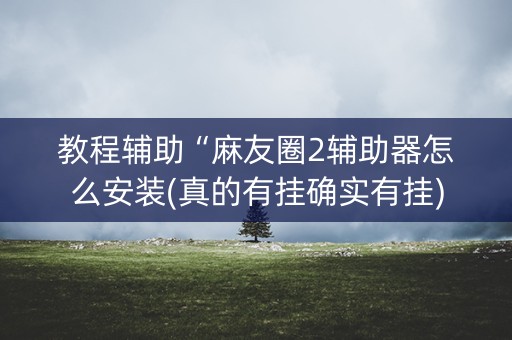 教程辅助“麻友圈2辅助器怎么安装(真的有挂确实有挂)