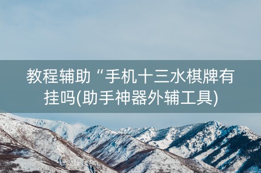教程辅助“手机十三水棋牌有挂吗(助手神器外辅工具)