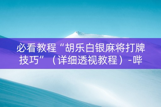 必看教程“胡乐白银麻将打牌技巧”（详细透视教程）-哔哩哔哩