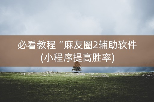 必看教程“麻友圈2辅助软件(小程序提高胜率)