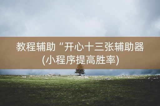 教程辅助“开心十三张辅助器(小程序提高胜率)