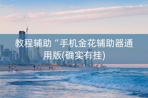 教程辅助“手机金花辅助器通用版(确实有挂)