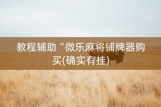 教程辅助“微乐麻将铺牌器购买(确实有挂)