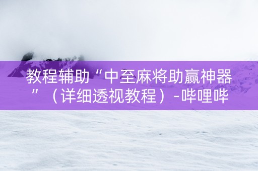 教程辅助“中至麻将助赢神器”（详细透视教程）-哔哩哔哩