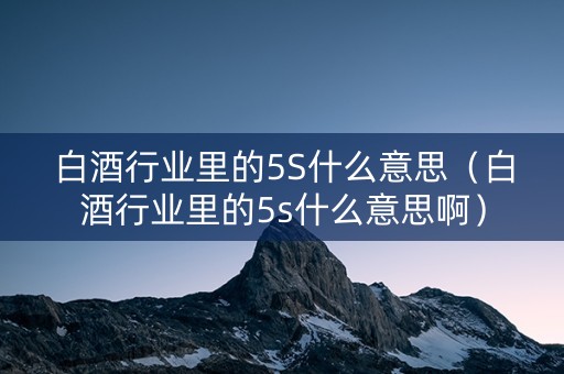 白酒行业里的5S什么意思（白酒行业里的5s什么意思啊）