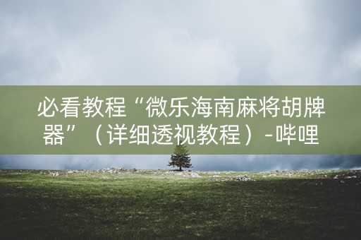 必看教程“微乐海南麻将胡牌器”（详细透视教程）-哔哩哔哩
