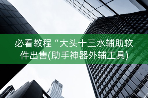 必看教程“大头十三水辅助软件出售(助手神器外辅工具)