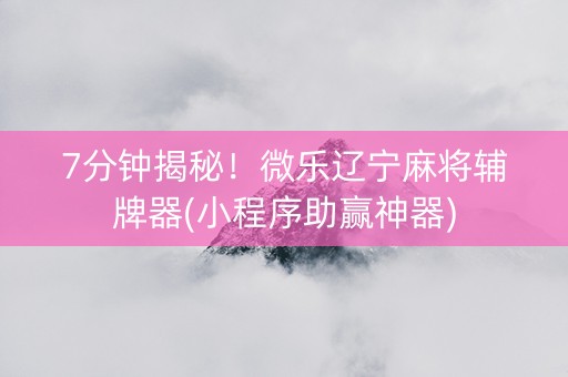 7分钟揭秘！微乐辽宁麻将辅牌器(小程序助赢神器)