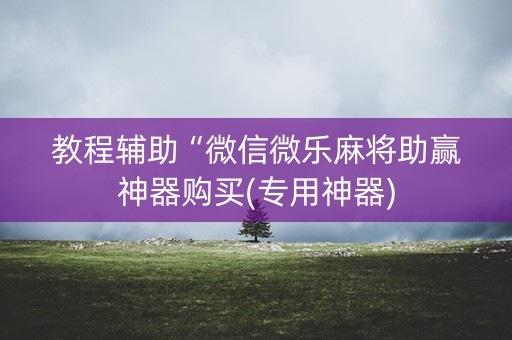 教程辅助“微信微乐麻将助赢神器购买(专用神器)