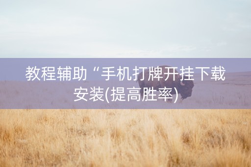 教程辅助“手机打牌开挂下载安装(提高胜率)