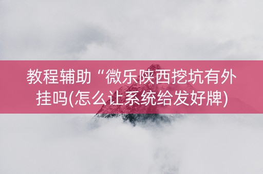 教程辅助“微乐陕西挖坑有外挂吗(怎么让系统给发好牌)