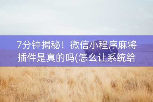 7分钟揭秘！微信小程序麻将插件是真的吗(怎么让系统给发好牌)