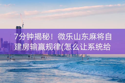 7分钟揭秘！微乐山东麻将自建房输赢规律(怎么让系统给发好牌)