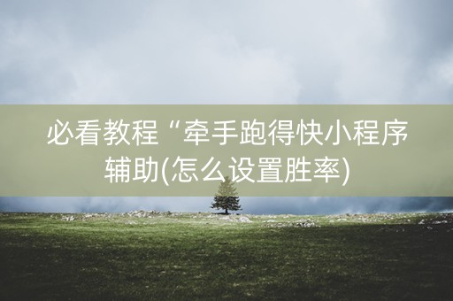 必看教程“牵手跑得快小程序辅助(怎么设置胜率)