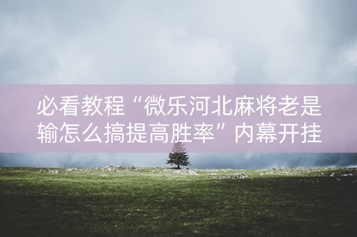 必看教程“微乐河北麻将老是输怎么搞提高胜率”内幕开挂教程
