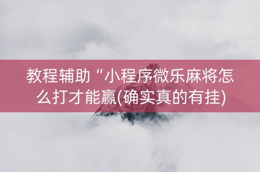 教程辅助“小程序微乐麻将怎么打才能赢(确实真的有挂)