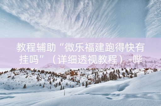 教程辅助“微乐福建跑得快有挂吗”（详细透视教程）-哔哩哔哩