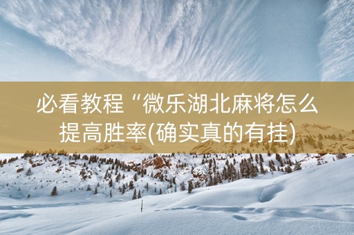 必看教程“微乐湖北麻将怎么提高胜率(确实真的有挂)