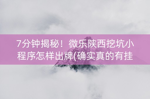 7分钟揭秘！微乐陕西挖坑小程序怎样出牌(确实真的有挂)