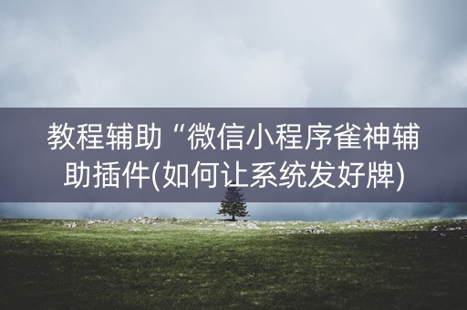 教程辅助“微信小程序雀神辅助插件(如何让系统发好牌)