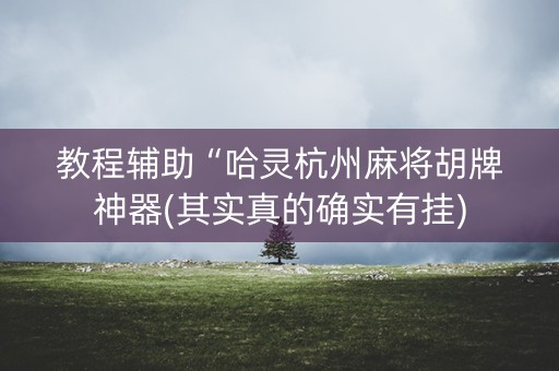 教程辅助“哈灵杭州麻将胡牌神器(其实真的确实有挂)