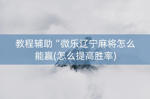 教程辅助“微乐辽宁麻将怎么能赢(怎么提高胜率)