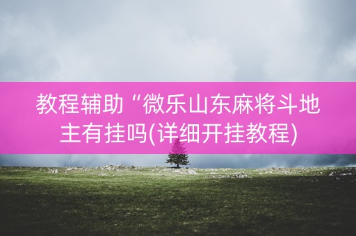 教程辅助“微乐山东麻将斗地主有挂吗(详细开挂教程)