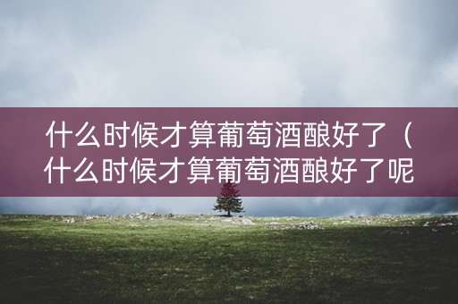 什么时候才算葡萄酒酿好了（什么时候才算葡萄酒酿好了呢）