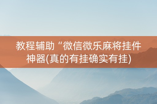 教程辅助“微信微乐麻将挂件神器(真的有挂确实有挂)