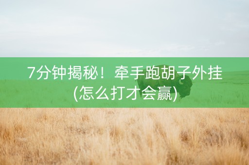 7分钟揭秘！牵手跑胡子外挂(怎么打才会赢)