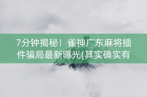 7分钟揭秘！雀神广东麻将插件骗局最新曝光(其实确实有挂)