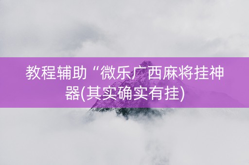 教程辅助“微乐广西麻将挂神器(其实确实有挂)
