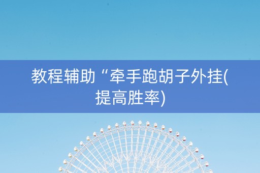 教程辅助“牵手跑胡子外挂(提高胜率)