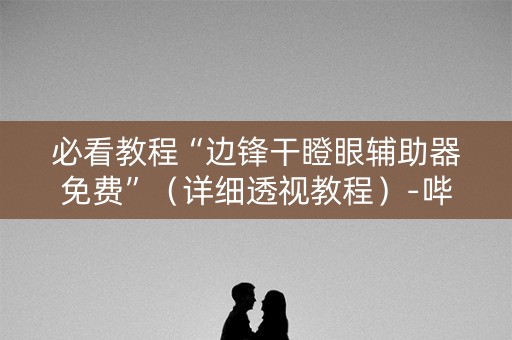 必看教程“边锋干瞪眼辅助器免费”（详细透视教程）-哔哩哔哩