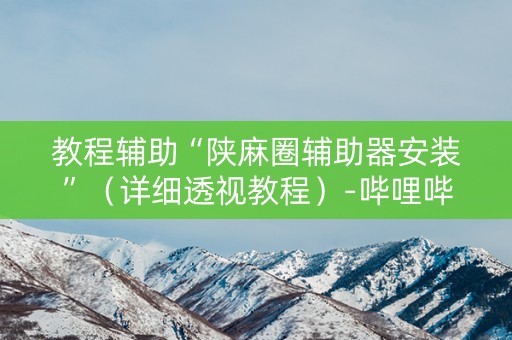 教程辅助“陕麻圈辅助器安装”（详细透视教程）-哔哩哔哩