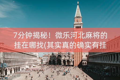 7分钟揭秘！微乐河北麻将的挂在哪找(其实真的确实有挂)