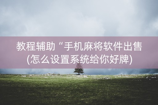 教程辅助“手机麻将软件出售(怎么设置系统给你好牌)
