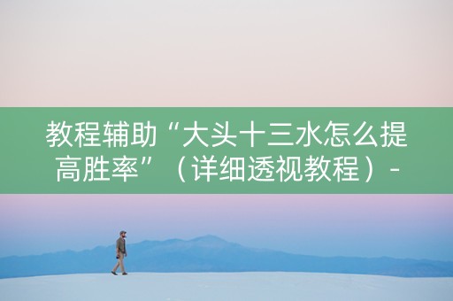 教程辅助“大头十三水怎么提高胜率”（详细透视教程）-哔哩哔哩