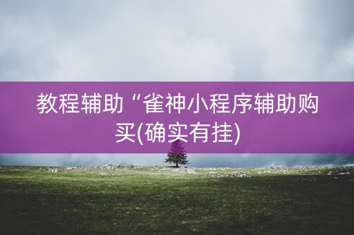 教程辅助“雀神小程序辅助购买(确实有挂)