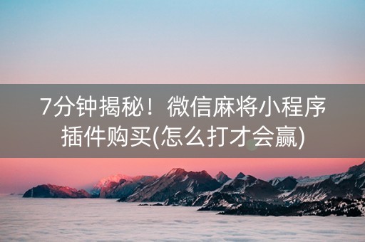7分钟揭秘！微信麻将小程序插件购买(怎么打才会赢)